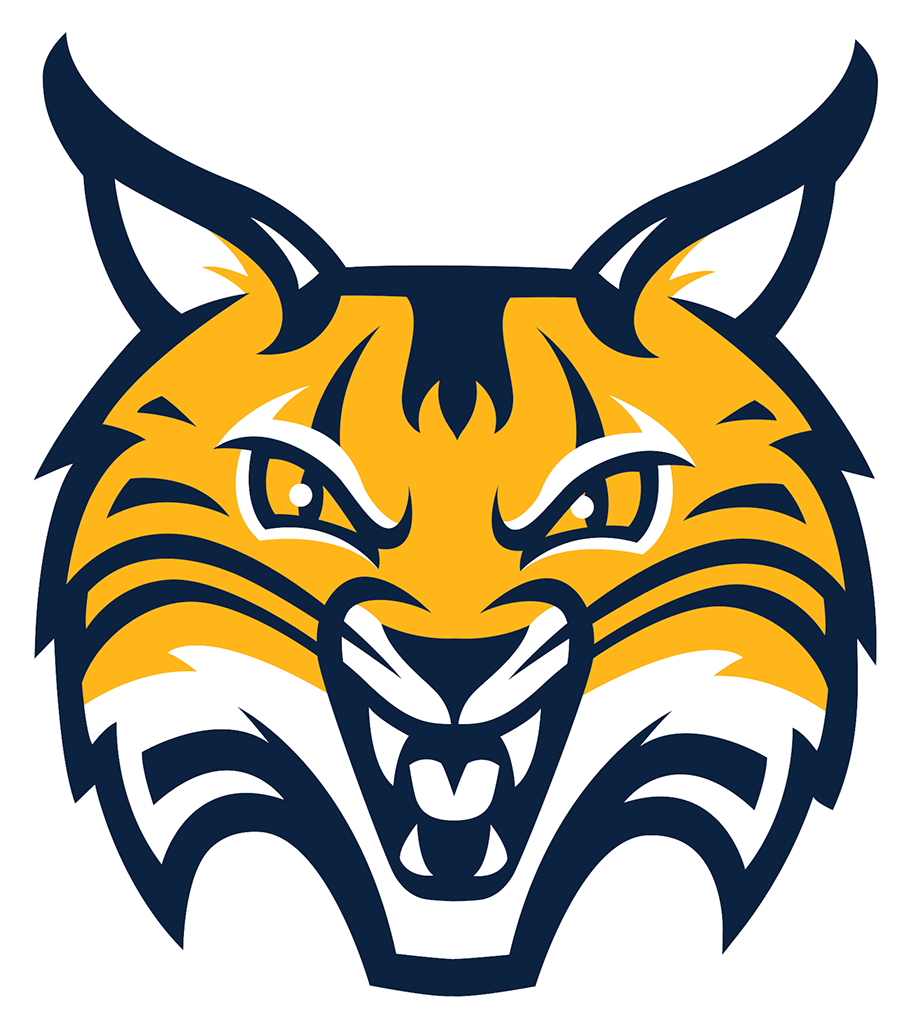 Quinnipiac Bobcats 2019-Pres Alternate Logo v3 diy iron on heat transfer